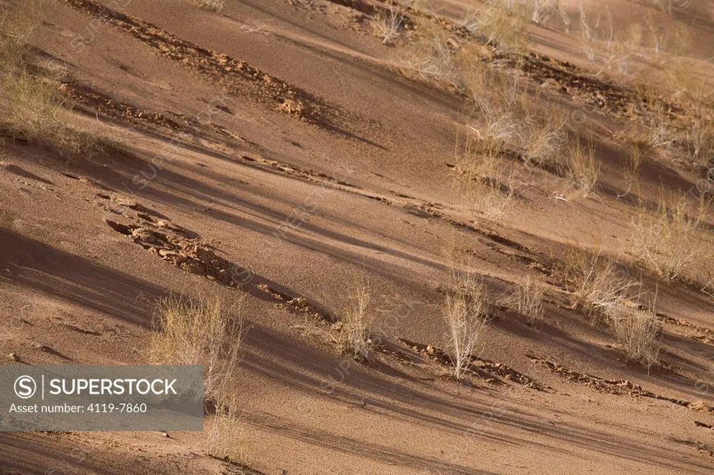 Abstract view of a sand dune in the Jordanian desert