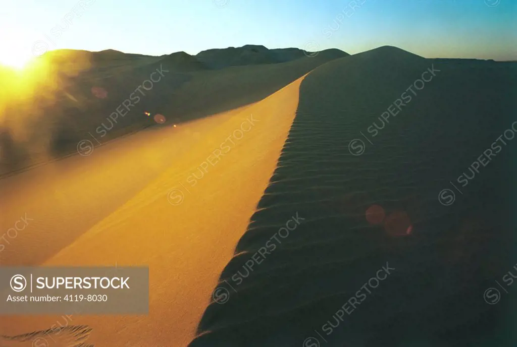Photograph of a sand dune in the western desert of Egypt