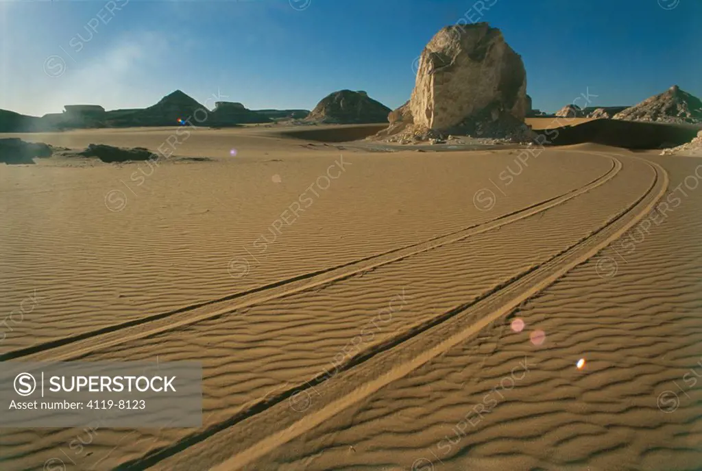 Photograph of tire tracks in the sand of the western desert of Egypt