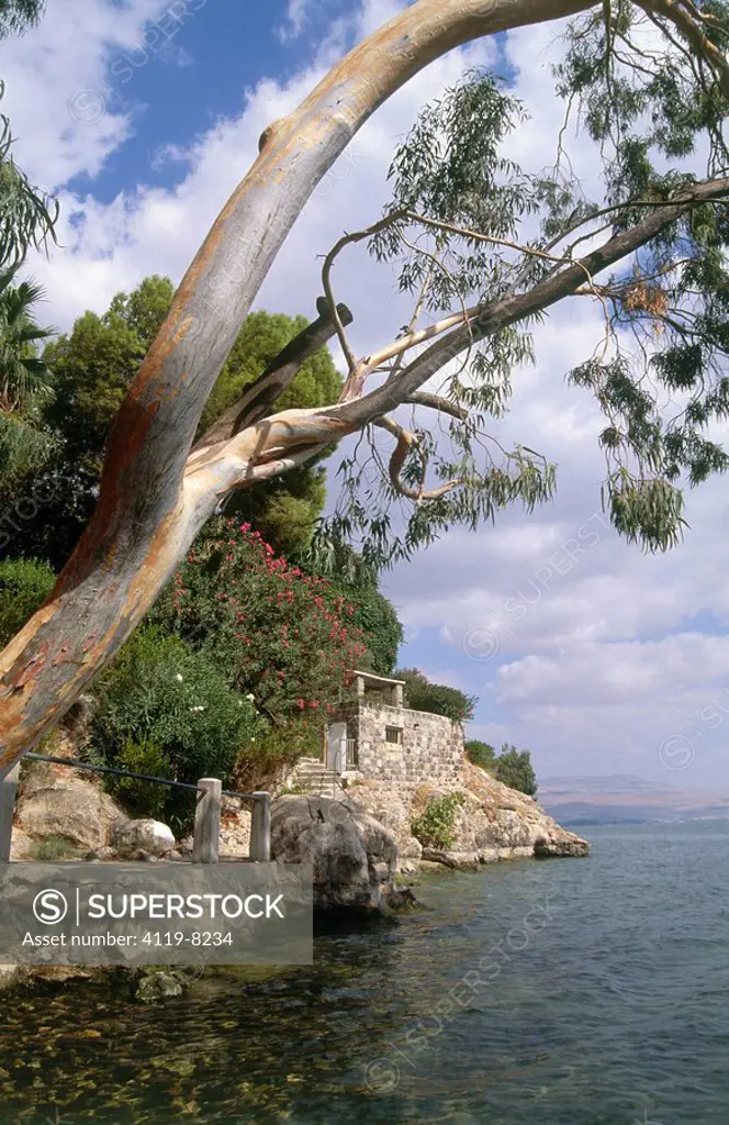 Photograph of Sea of Galilee