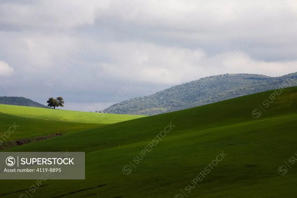 Photograph of he landscape of Andalusia Spain