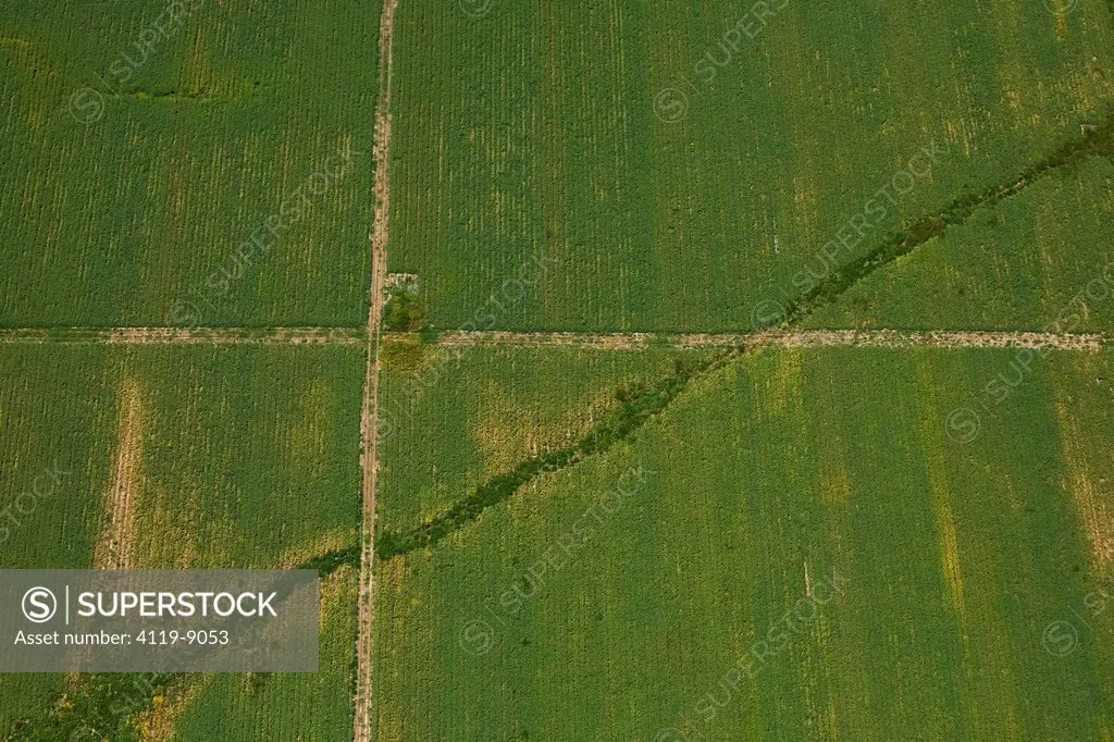 Abstract photograph of a green field in the Plain