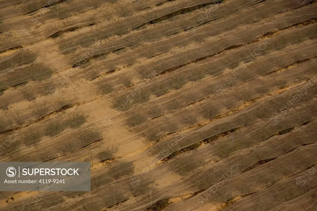 An Aerial abstract photo of a field with crops