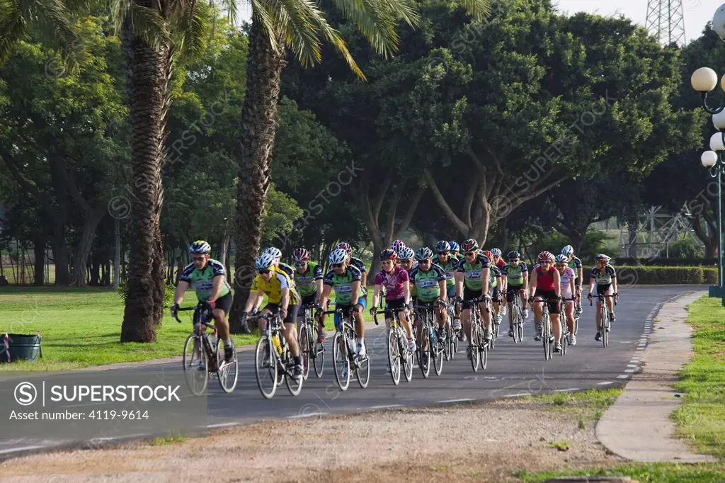 Photograph of a group of bicycle riders in the Yarkon Park _ the green lungs of the city of Tel Aviv