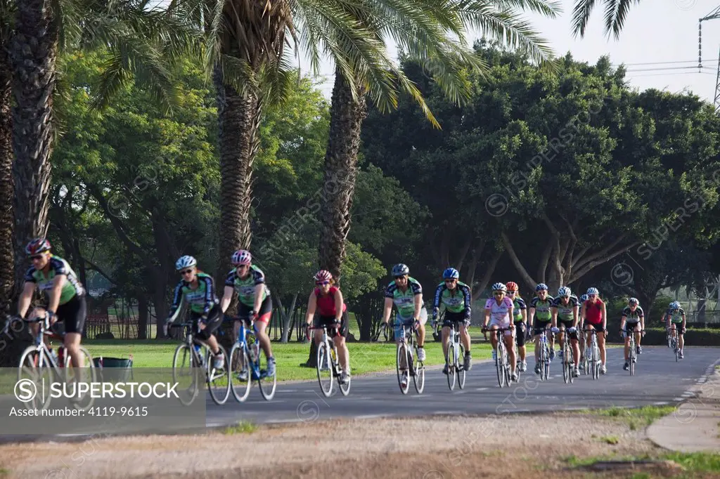 Photograph of a group of bicycle riders in the Yarkon Park _ the green lungs of the city of Tel Aviv