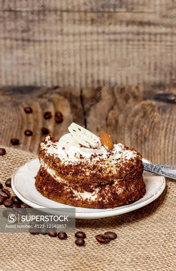 Tiramisu cake on wooden background