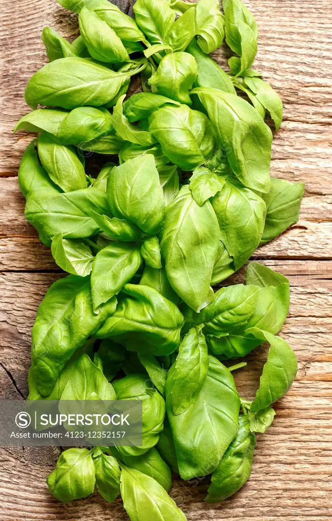 Basil leaves on wooden background. Healthy spice