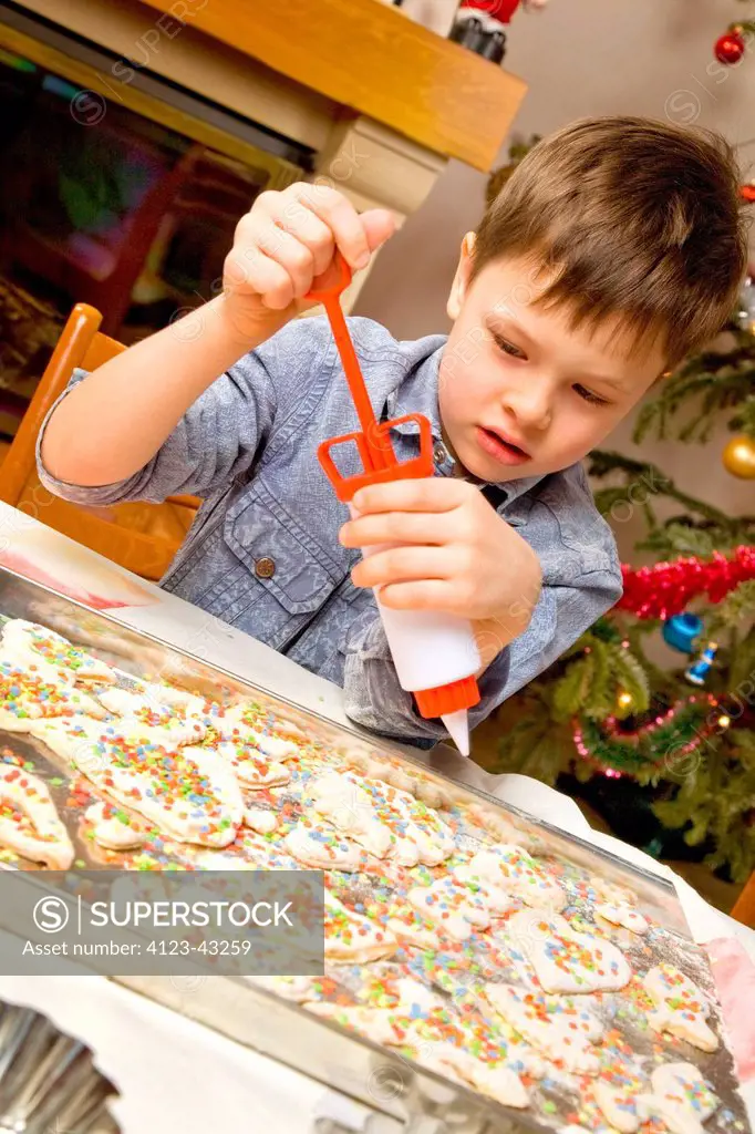 Boy decorating Christmas cake.
