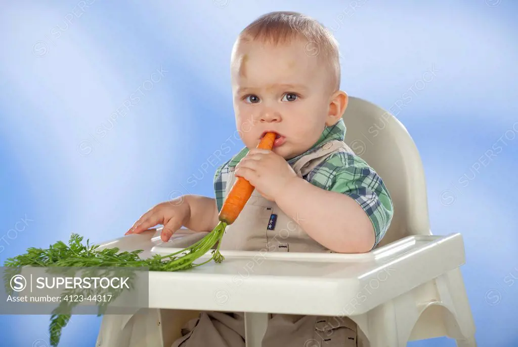Boy sitting in baby chair, eating carrot.