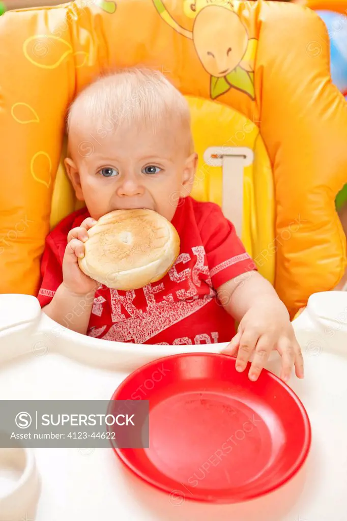 Boy sitting in baby-chair, eating Kaiser roll.