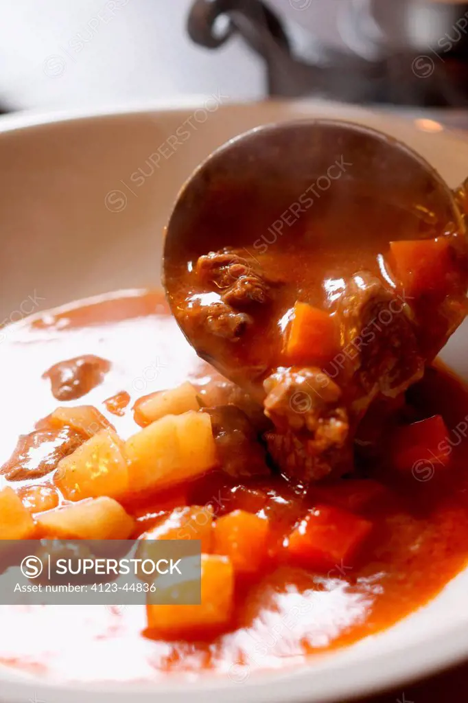 Hungarian Stew.