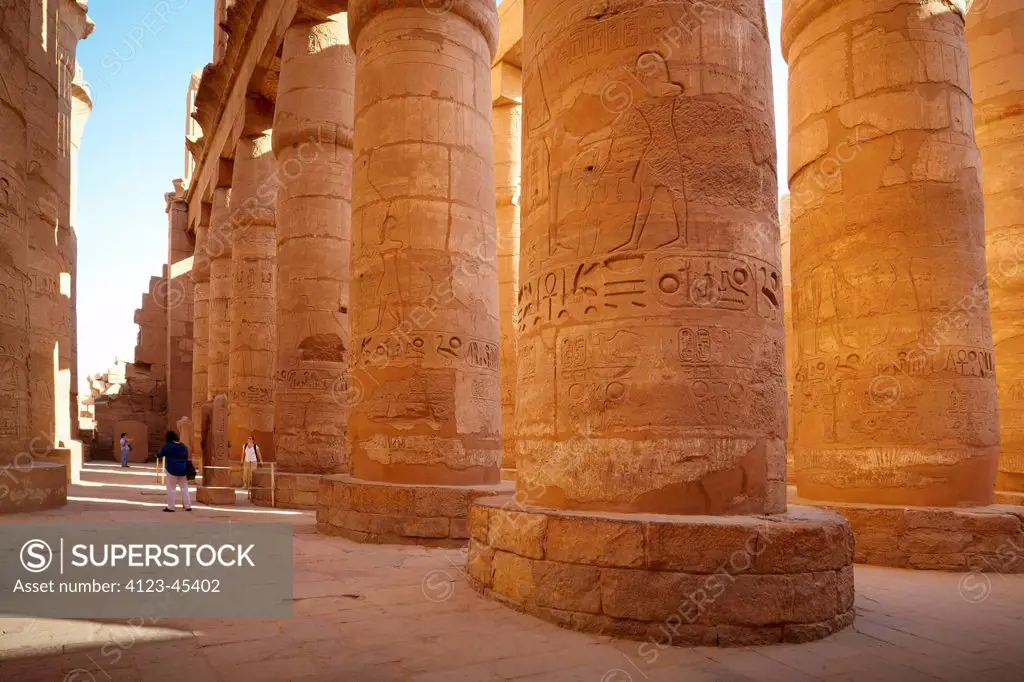 Egypt, the Karnak Temple Complex, the Great Hypostyle Hall in the temple of Amon-Re God , building from UNESCO World Heritage List.