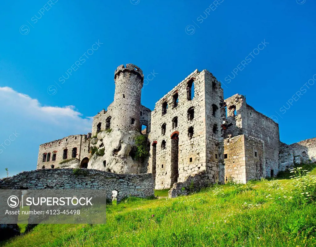 Poland, Silesia Province, Ogrodzieniec. Ruins of the castle in Ogrodzieniec.