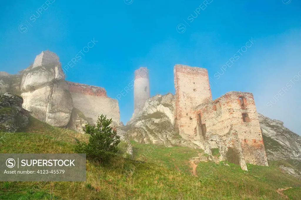 Poland, Silesia Province, Olsztyn. Ruins of the castle in Olsztyn near Czestochowa.