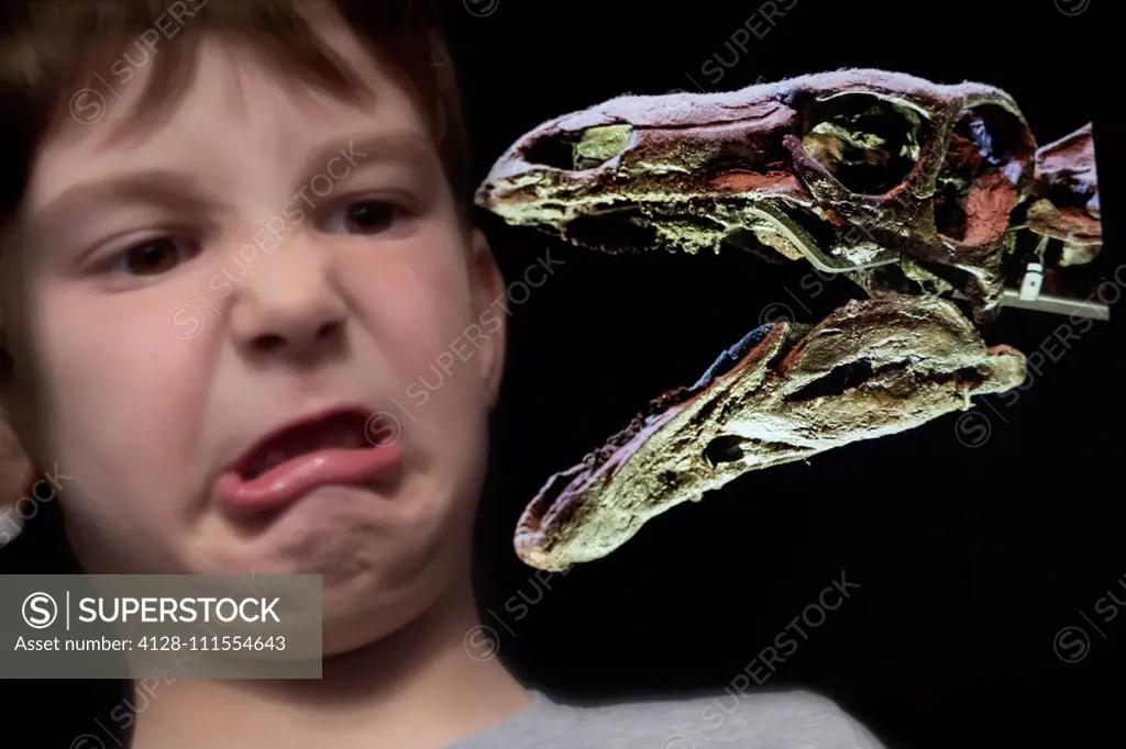 Boy looking at dinosaur