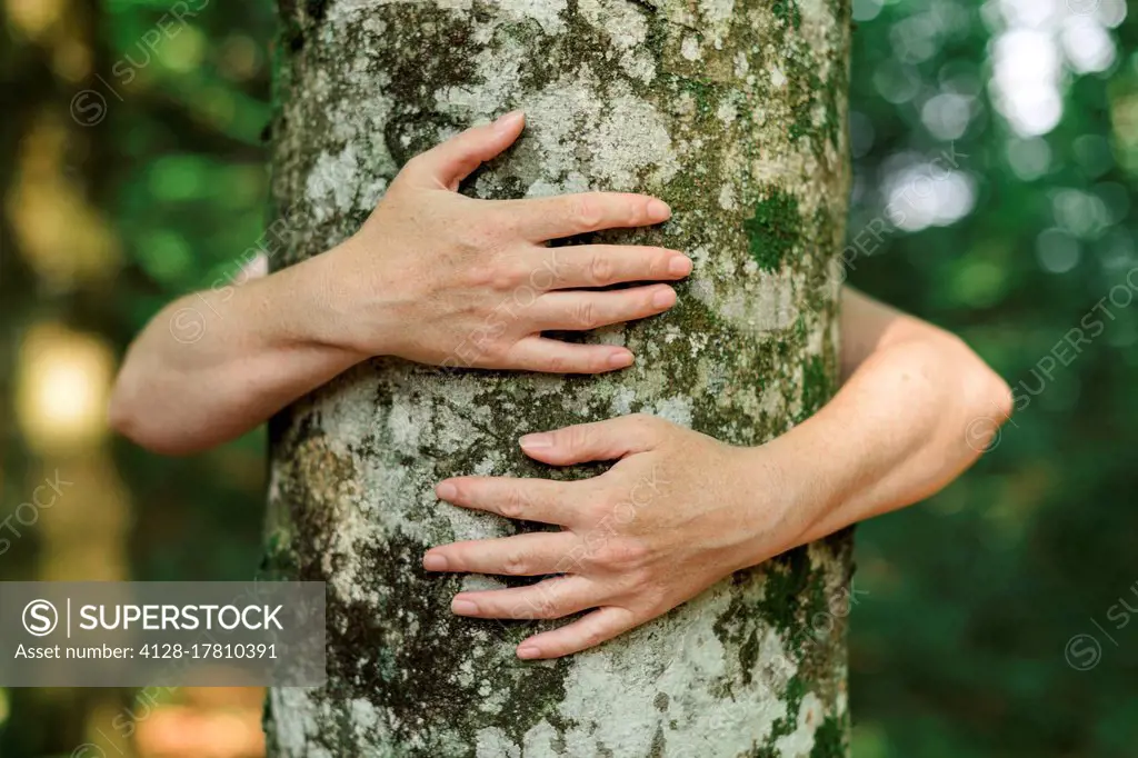 Environmentalist hugging tree
