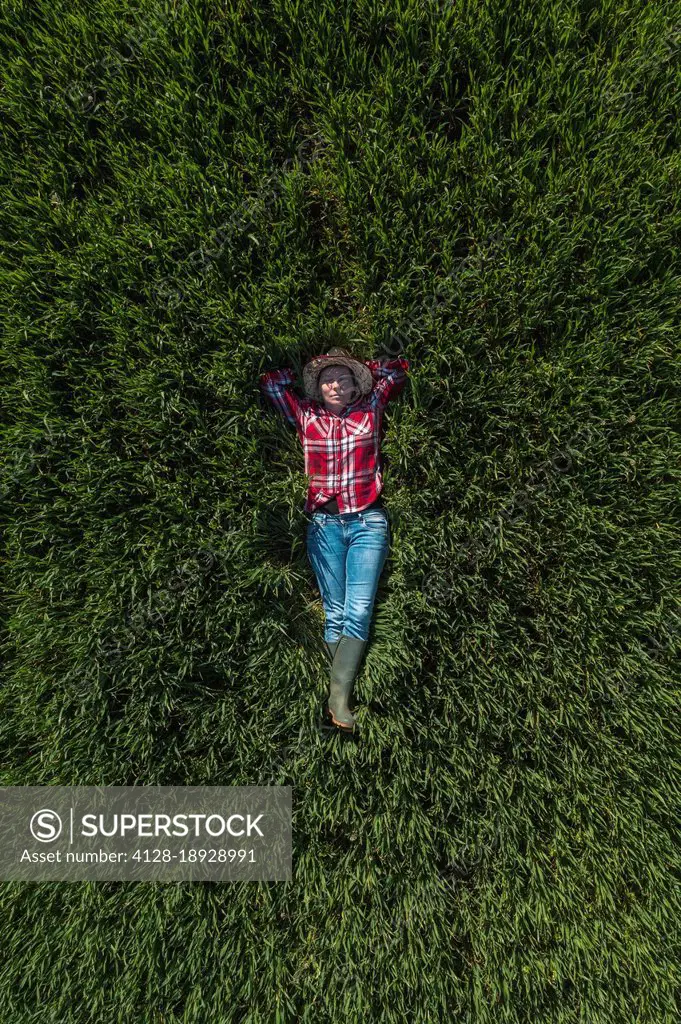 Farmer laying in wheat field, aerial view