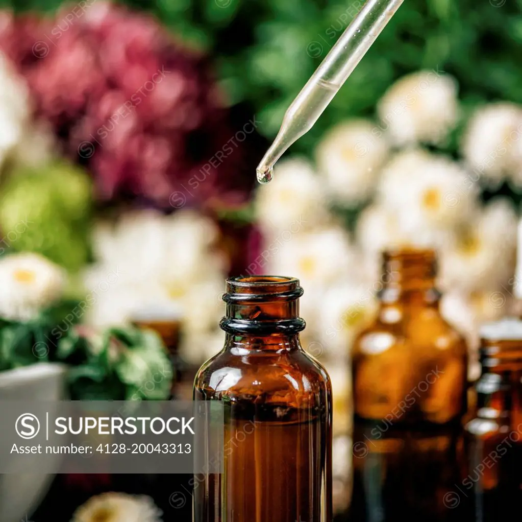 Herbal medicine, conceptual image