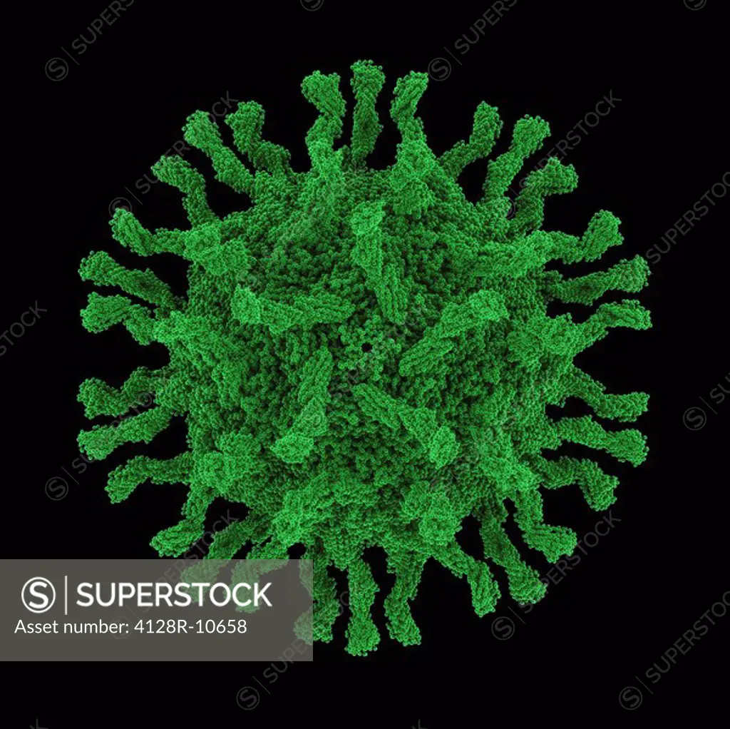 Poliovirus particle