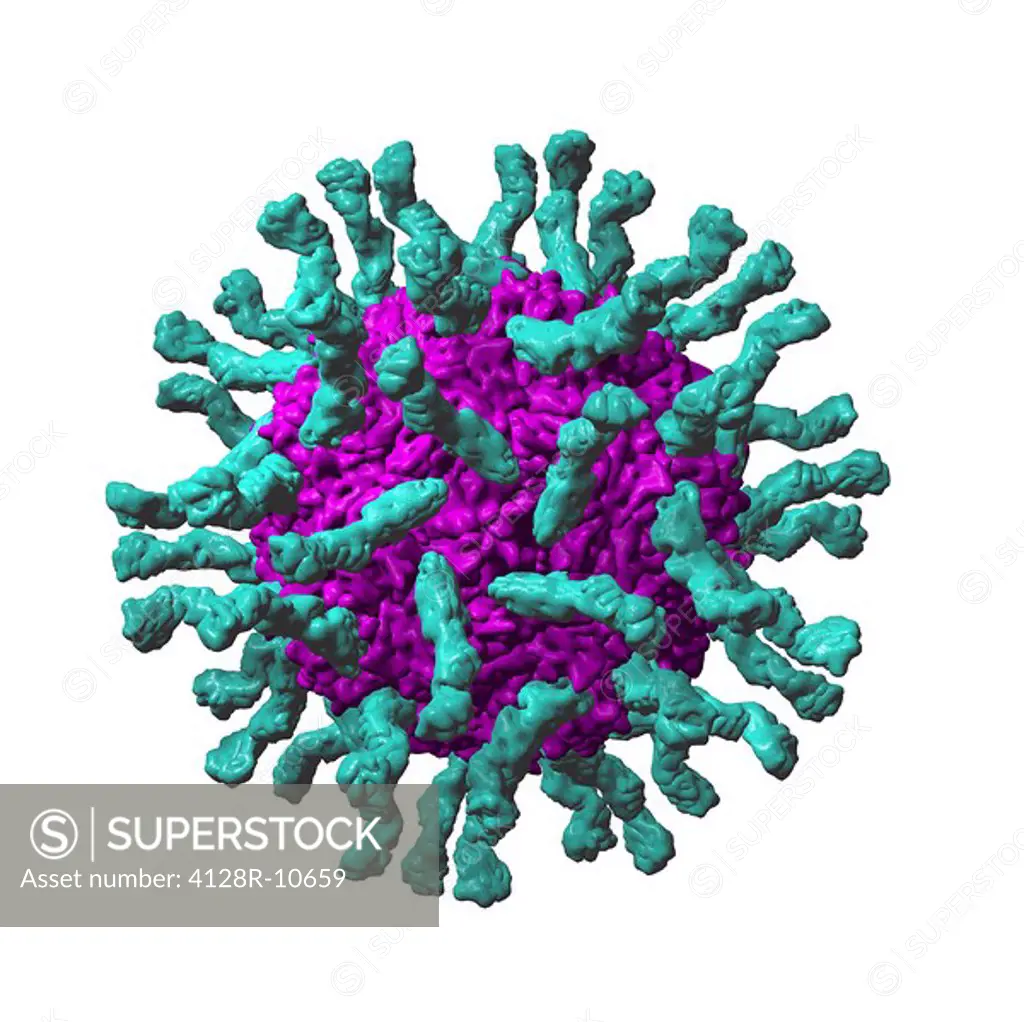 Poliovirus particle