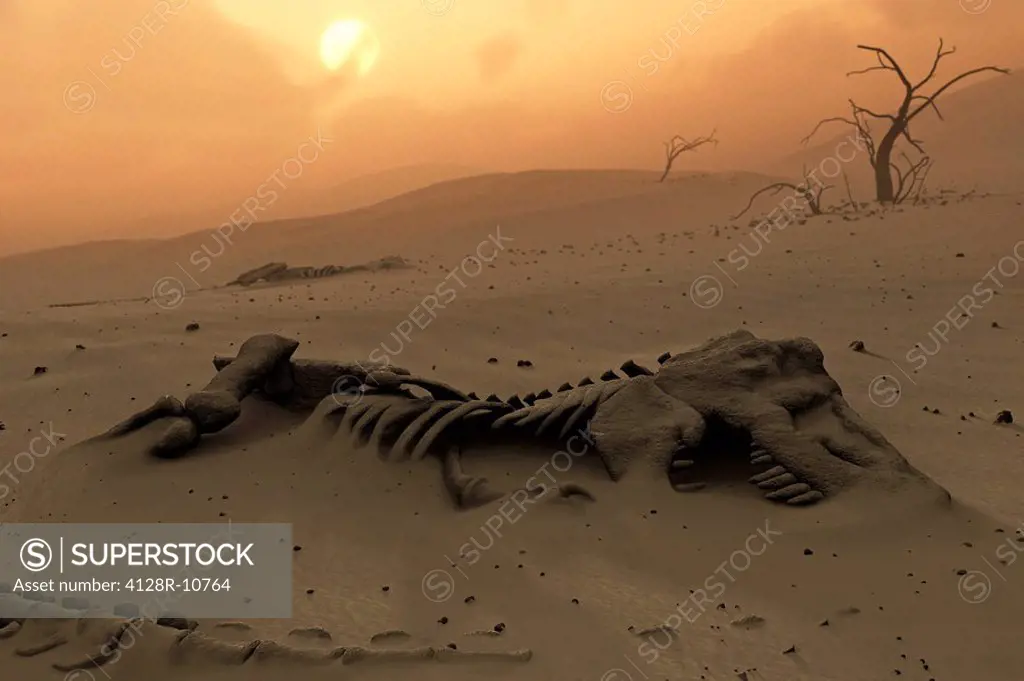 Dinosaur skeletons in the desert