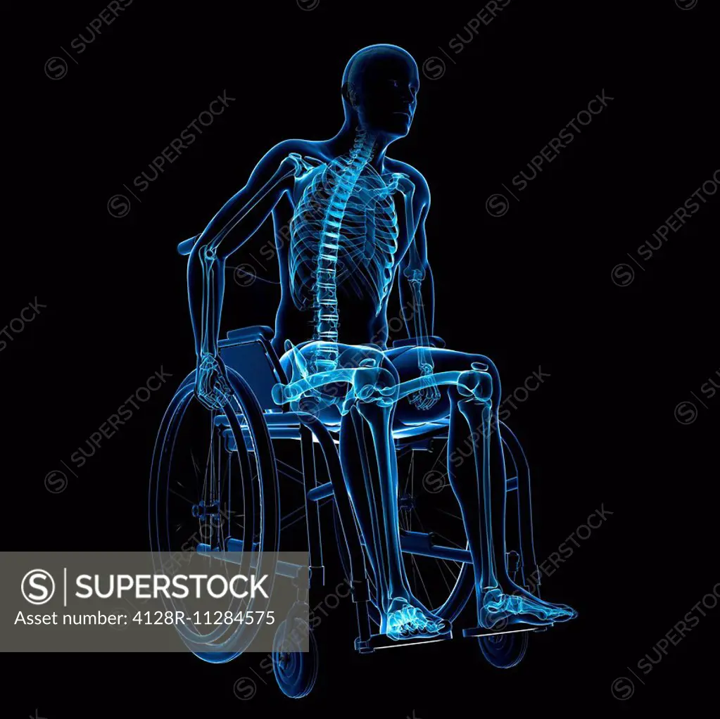 Man in a wheelchair, computer artwork.