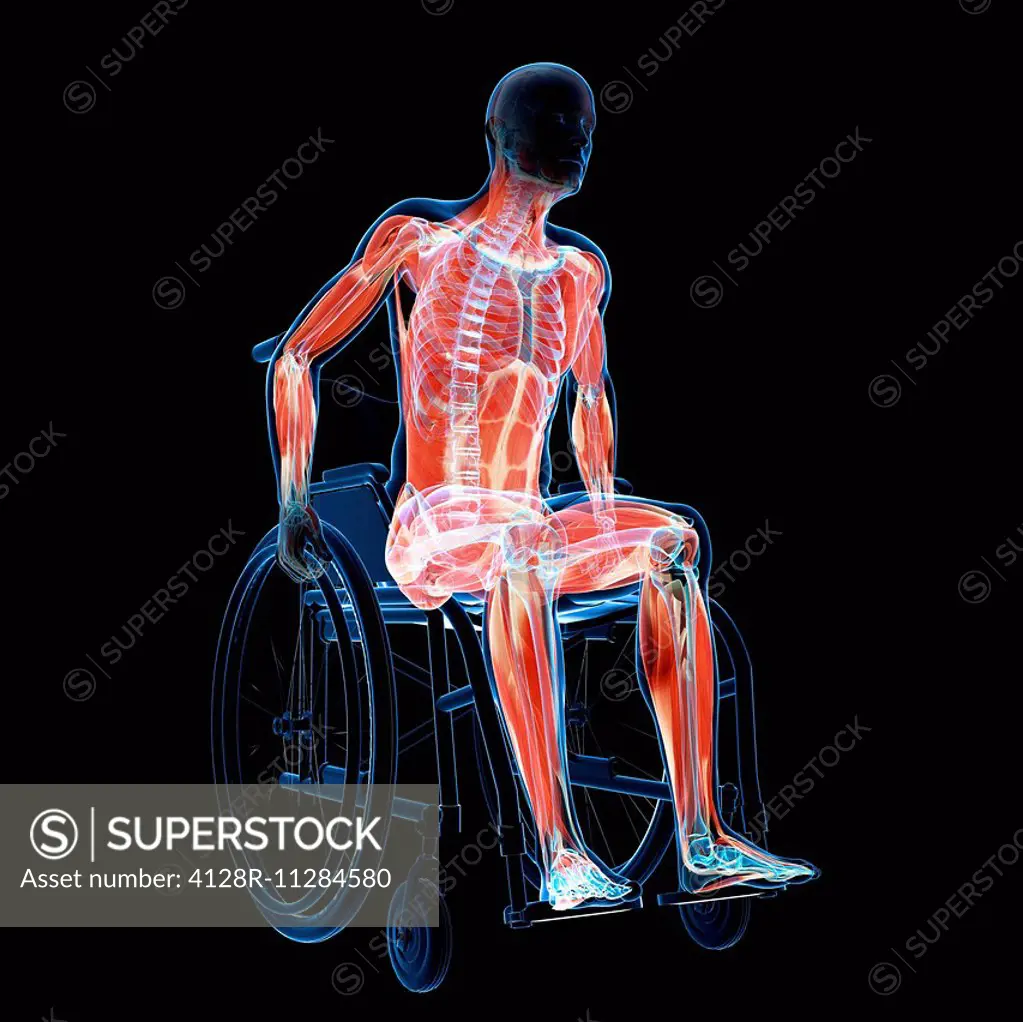 Man in a wheelchair, computer artwork.