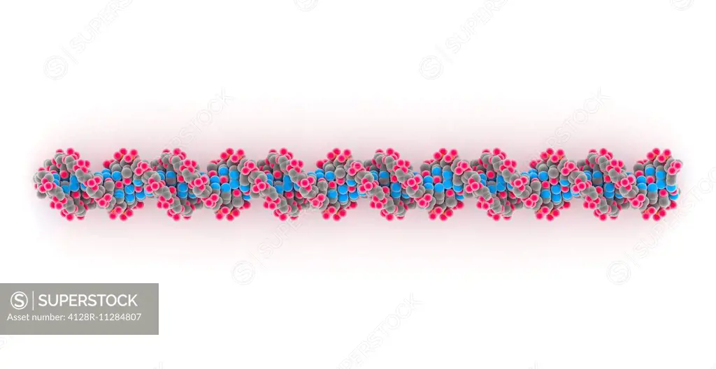 DNA (deoxyribonucleic acid) molecule.