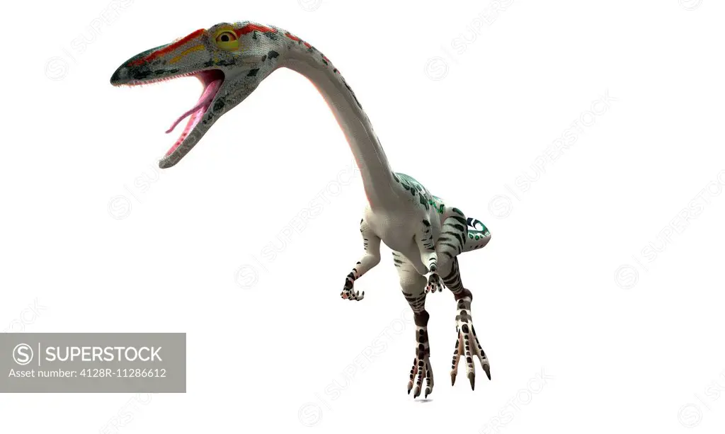Coelophysis dinosaur, computer artwork.