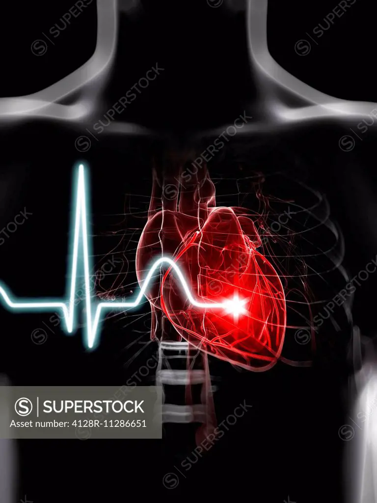 Heartbeat, computer artwork.