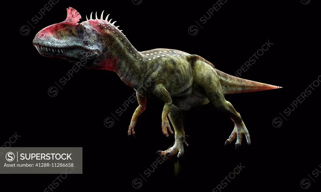 Cryolophosaurus dinosaur, computer artwork.