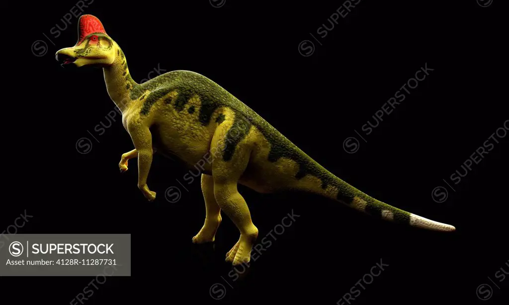 Hadrosaurus dinosaur, computer artwork.