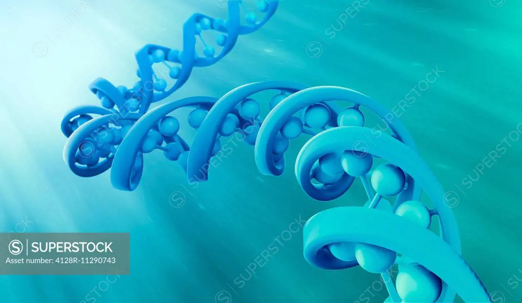 Artwork of a DNA (deoxyribonucleic acid) strand model.