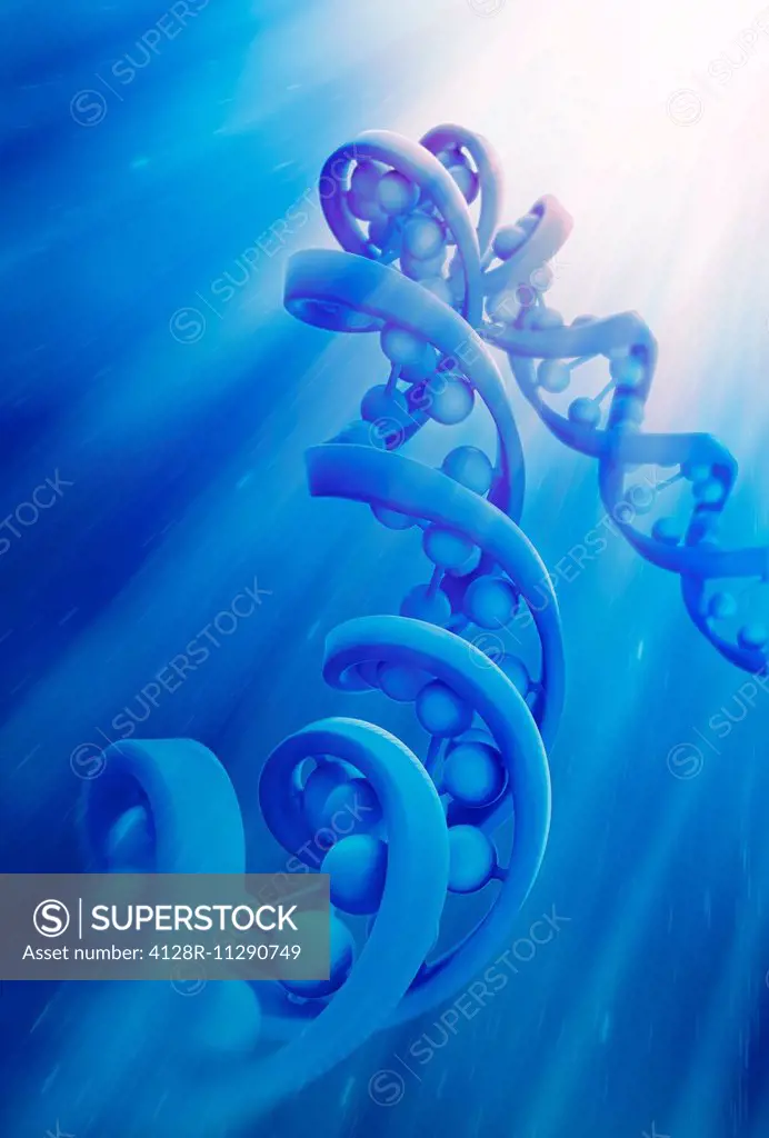 Artwork of a DNA (deoxyribonucleic acid) strand model.