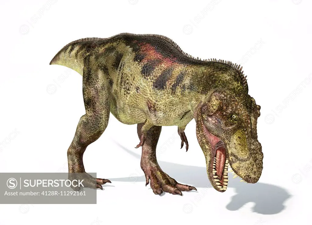 Artwork of a tyrannosaurus rex dinosaur against a white background.