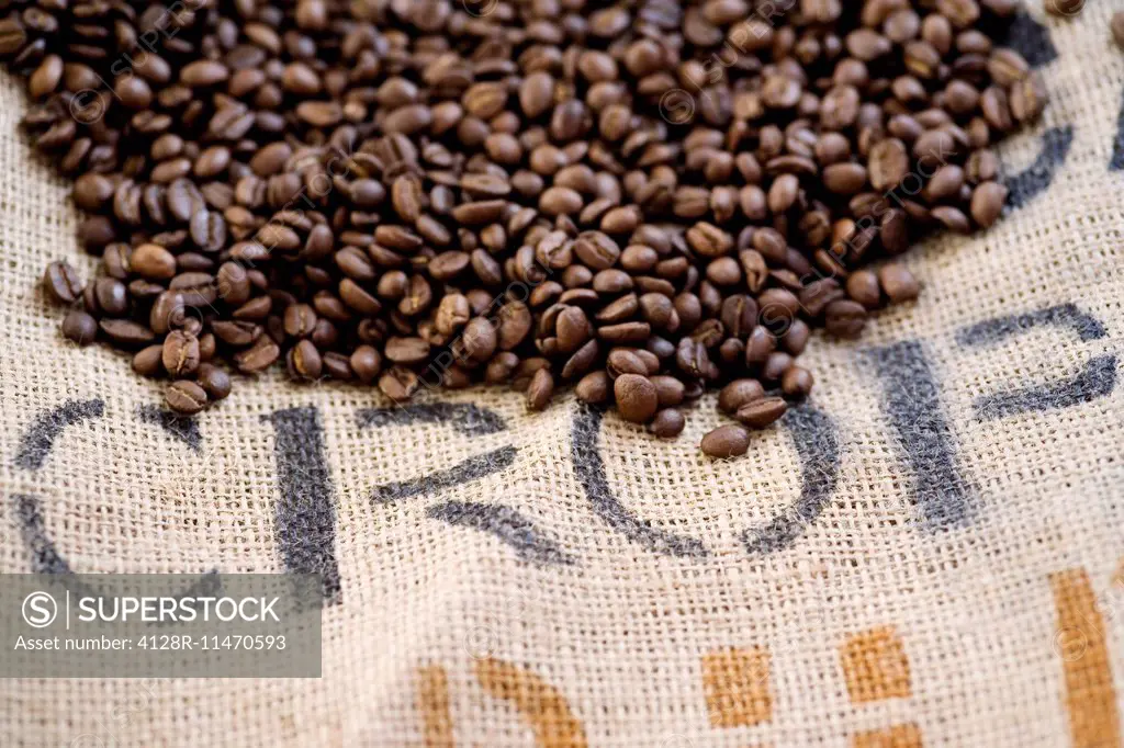 Coffee Beans (Coffea arabica).
