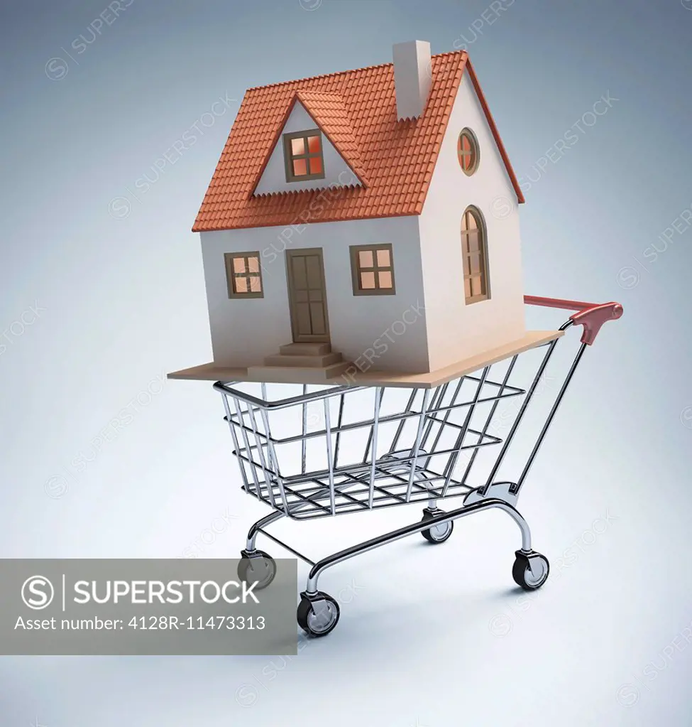 Model of a house in a shopping trolley, computer artwork.