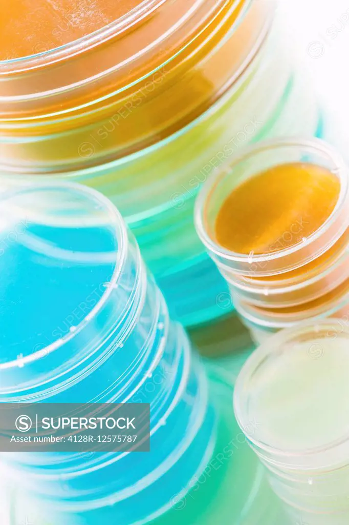 Petri dishes in a stack.