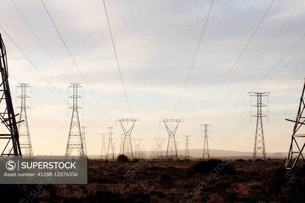 Electricity pylons and power lines, near Langebaan, Western Cape, South Africa.