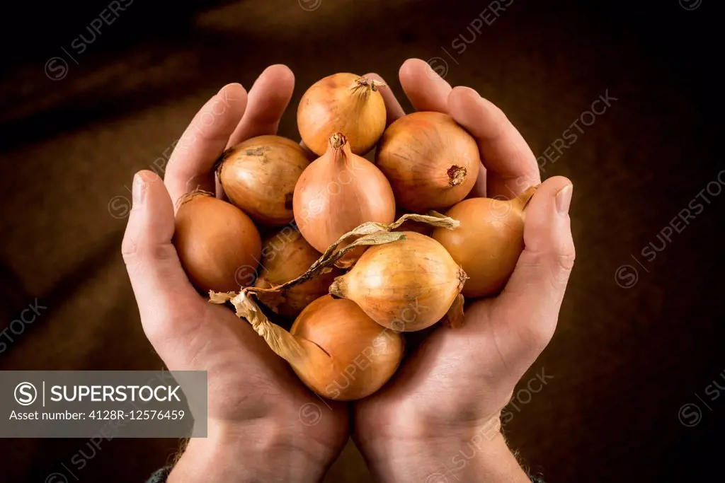 Person holding brown onions.
