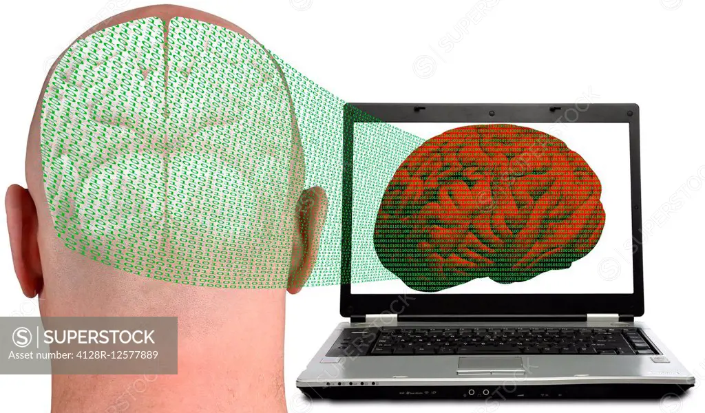 Laptop and human brain, computer artwork.