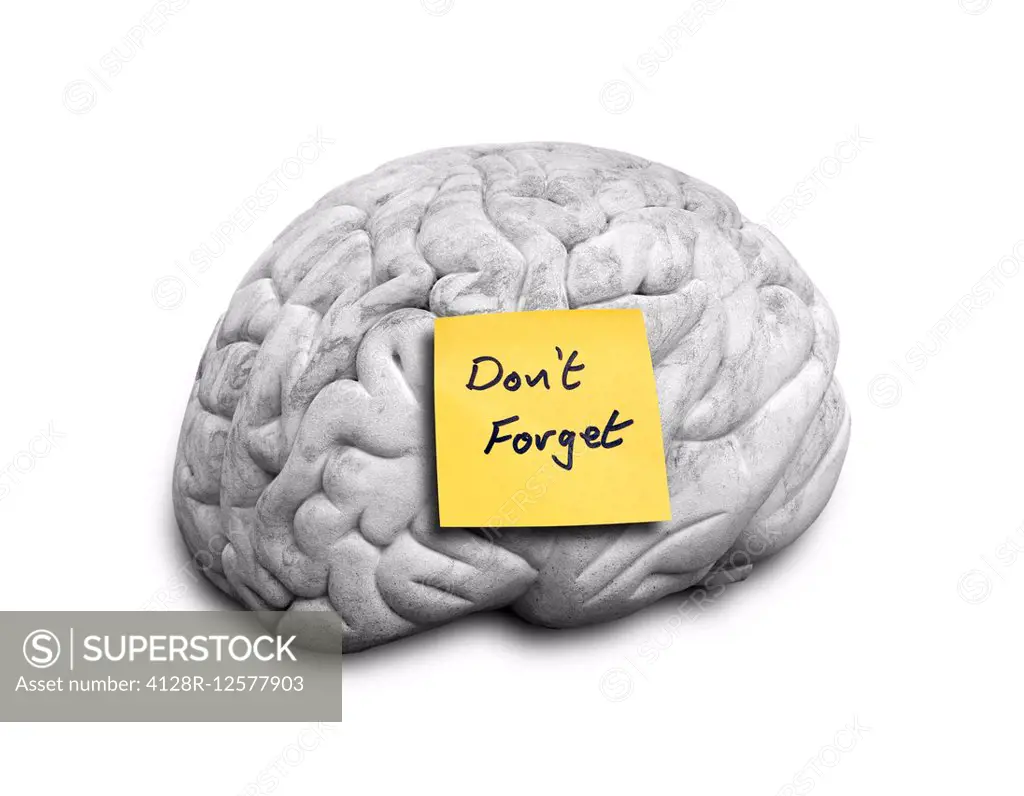 Human brain with an adhesive note, computer artwork.