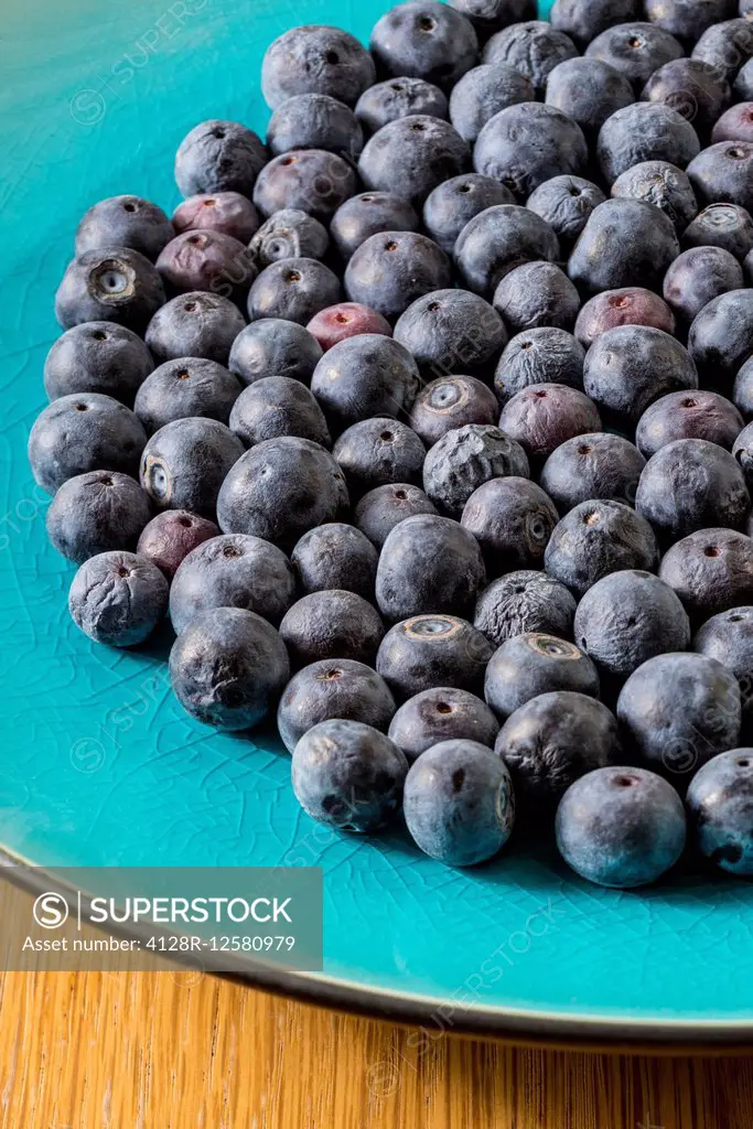Blueberries, close up.