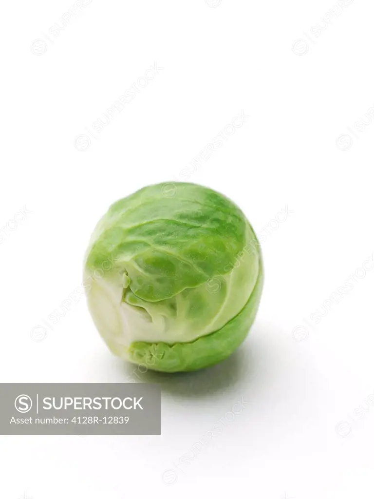 Brussels sprout.