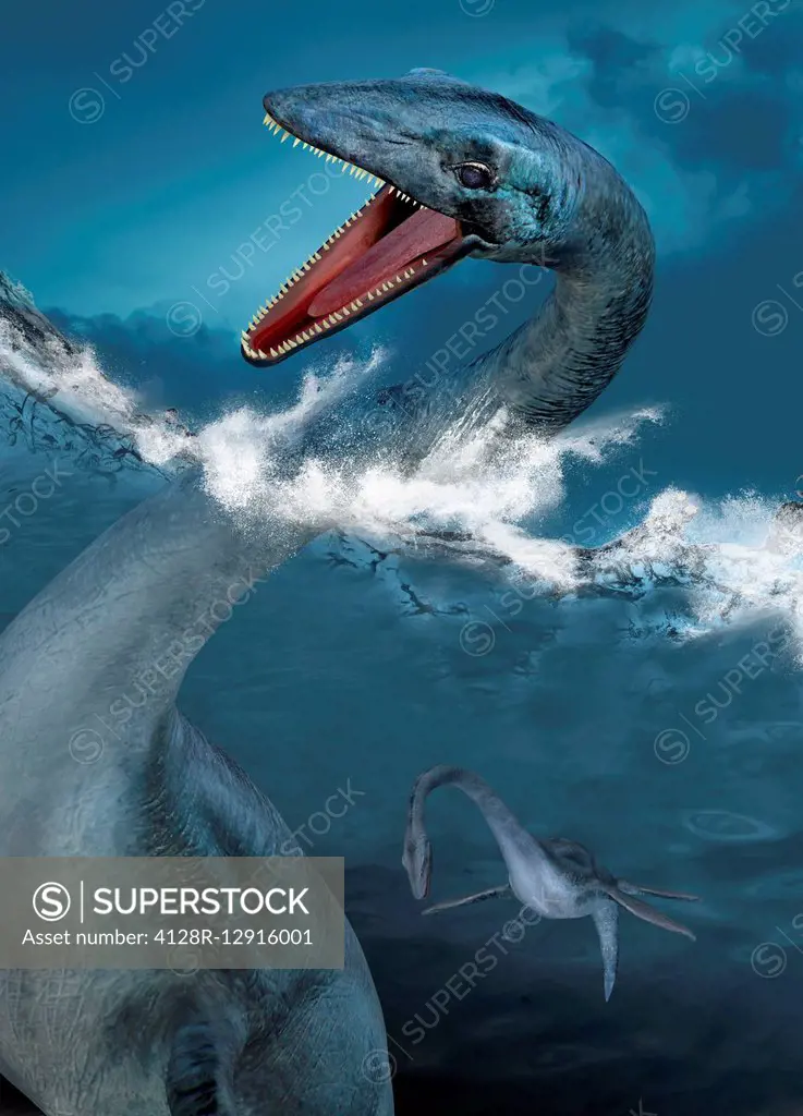 Prehistoric sea creatures, illustration