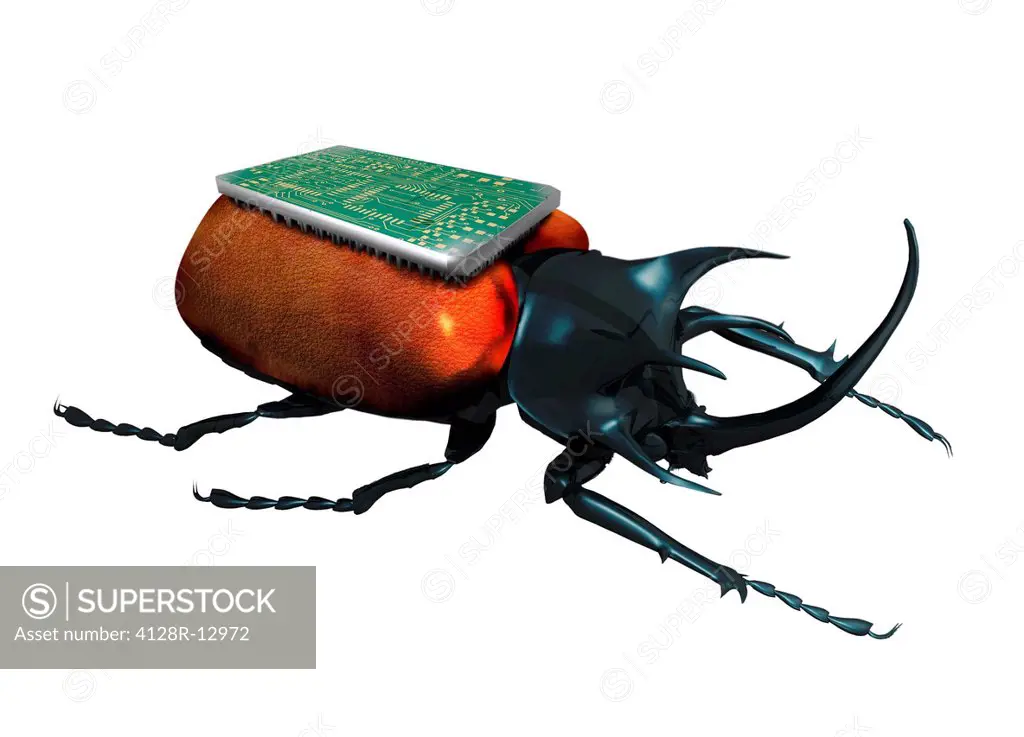 Insect spy, conceptual computer artwork. Beetle with a microchip on its back.