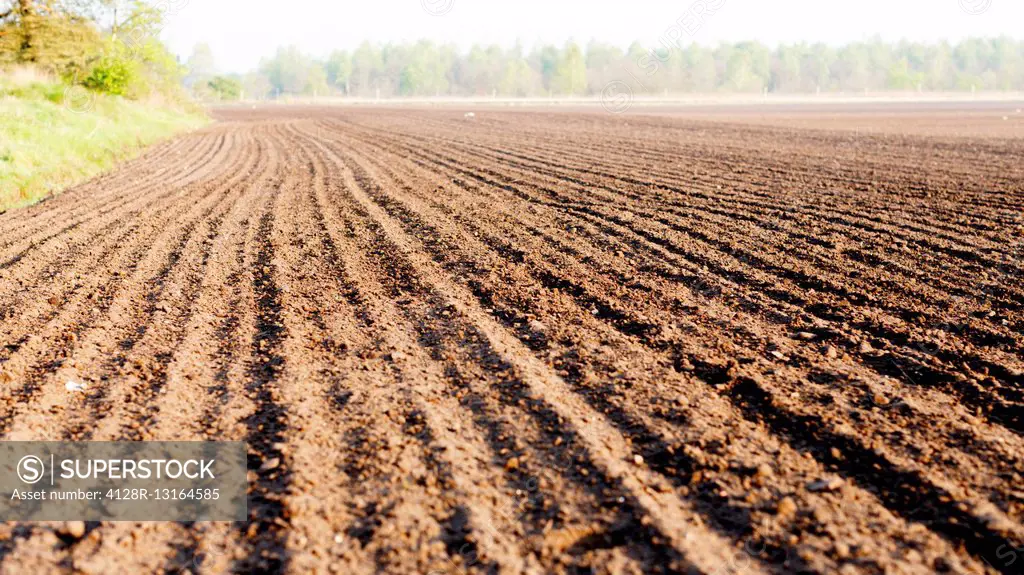 Furrows in the soil of a freshly ploughed field.