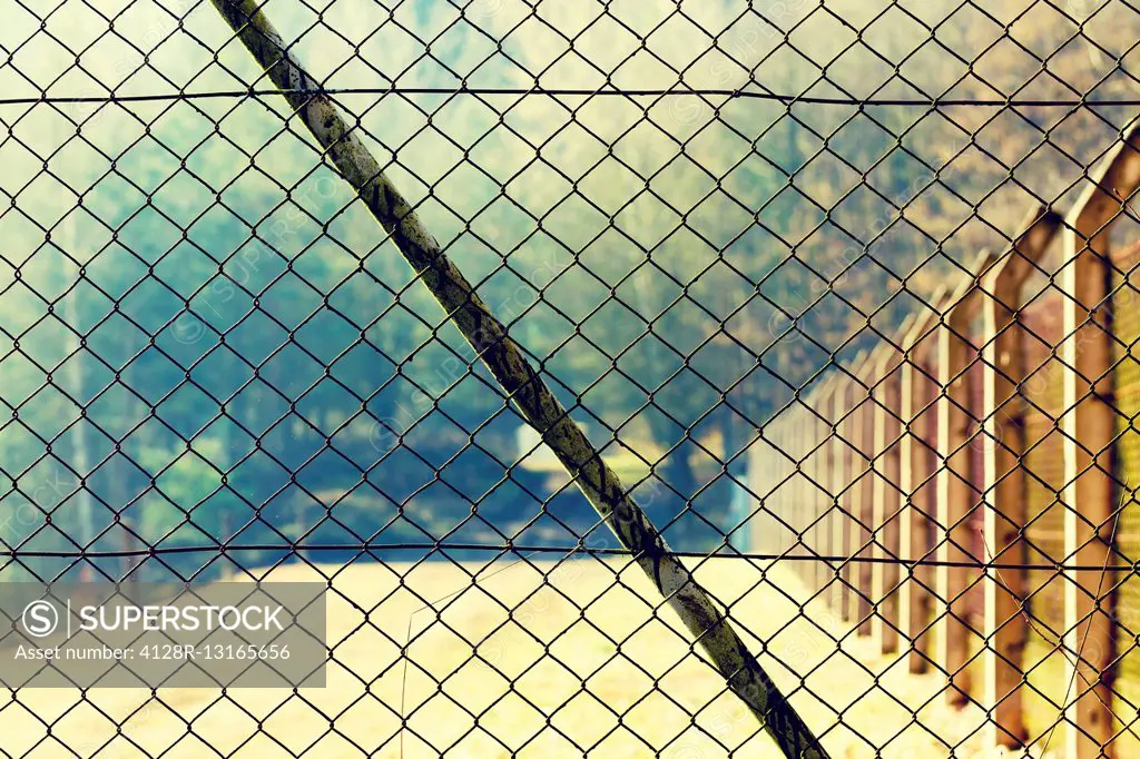 Wire mesh fence.