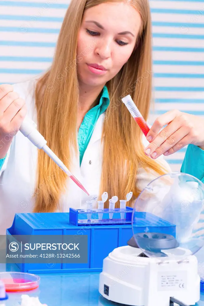 Laboratory assistant analysing blood samples.