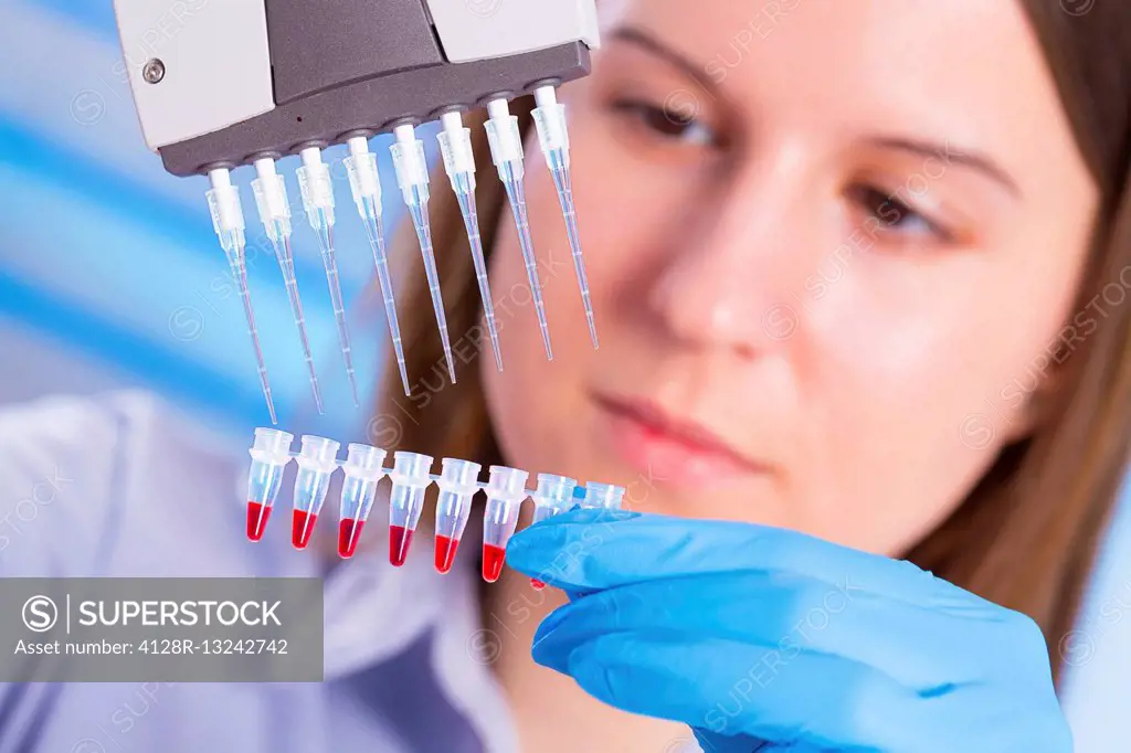 Female lab technician using micro pipette and micro tubes.